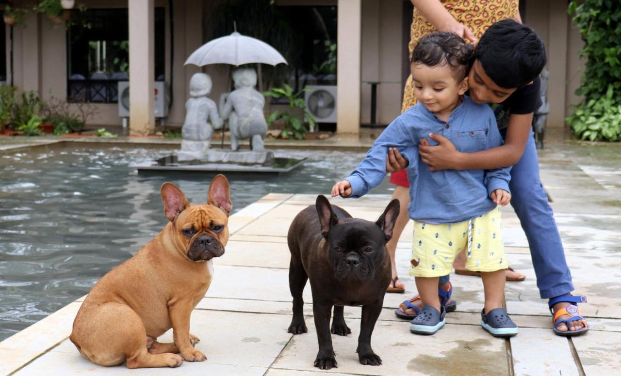Manas Resort With Petting Zoo, איגטפורי מראה חיצוני תמונה