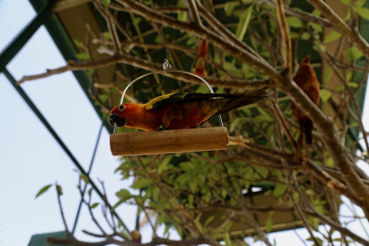 Manas Resort With Petting Zoo, איגטפורי מראה חיצוני תמונה